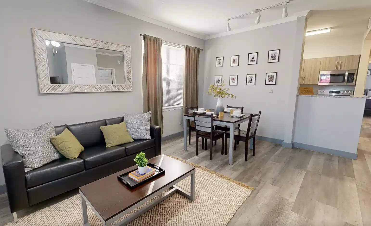 Private Room - Private Bath (1 Bed - 1 Bath Large)