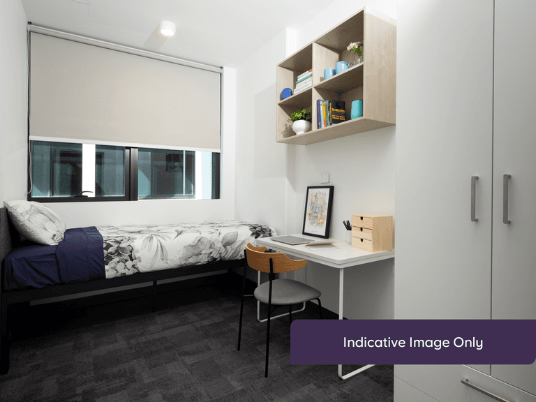 4 Bed Shared Apartment (Large)