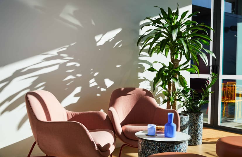 Scape Franklin, Melbourne image 41