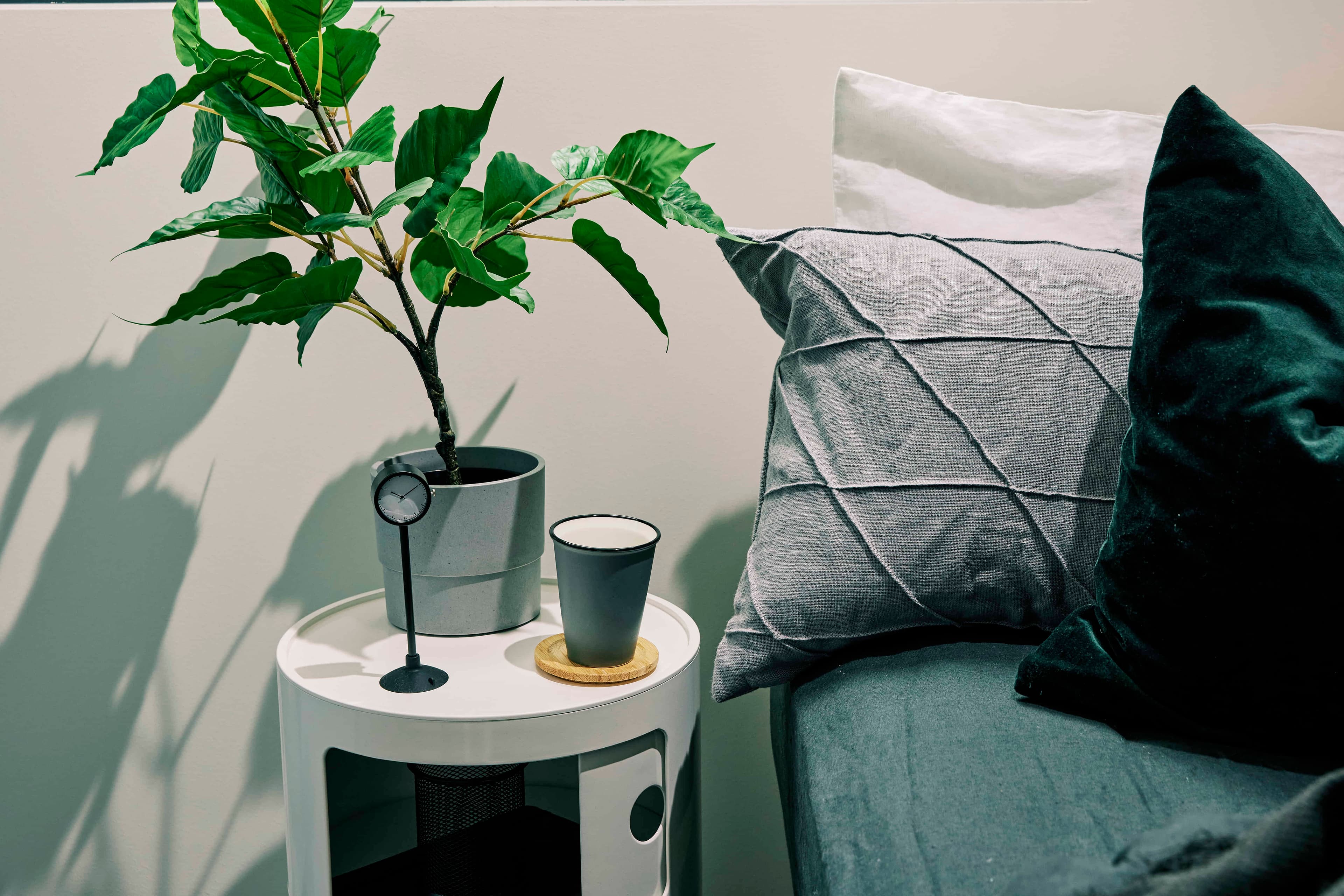 Twin, King Single Bed