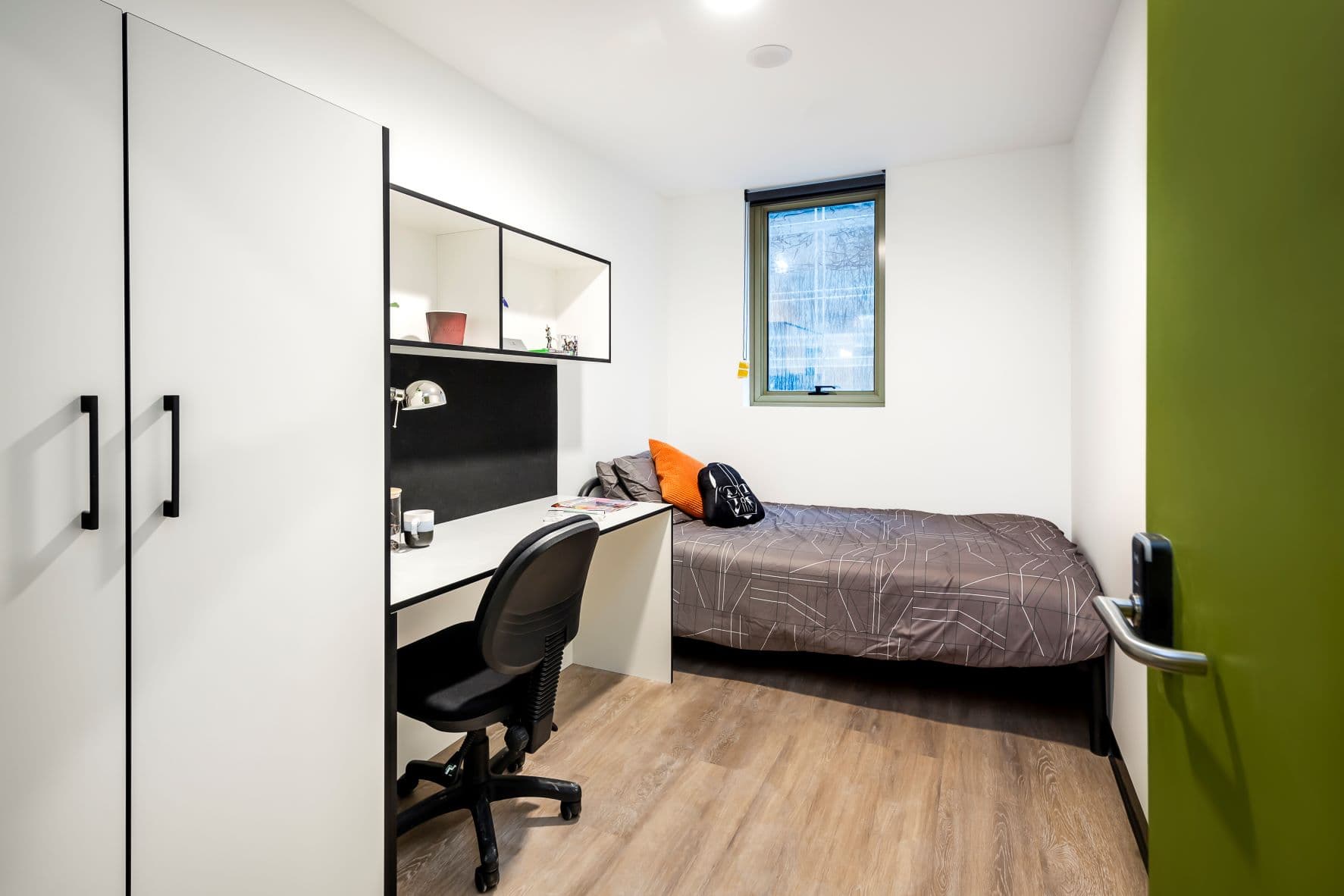 Shared Apartment