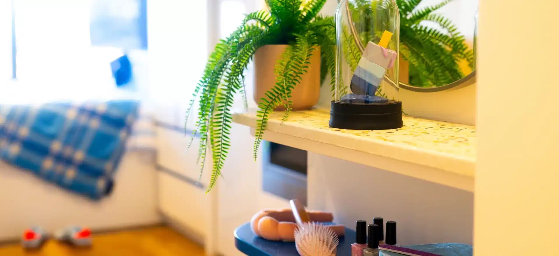 Signature Studio Suite