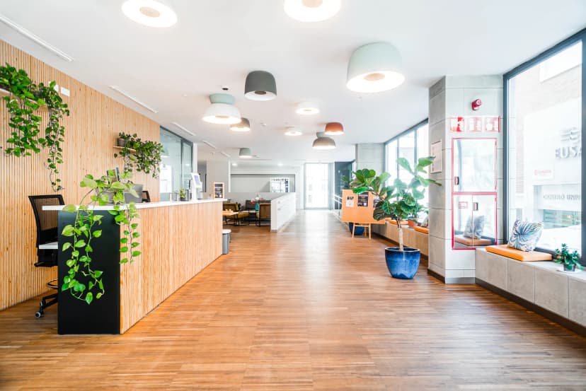 Nido El Porvenir, Seville image 11