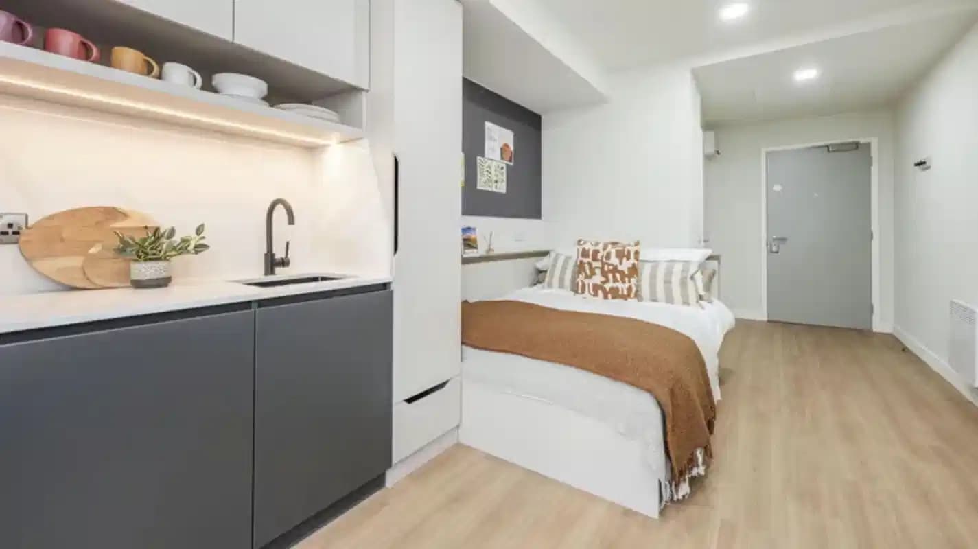 Standard Studio Plus