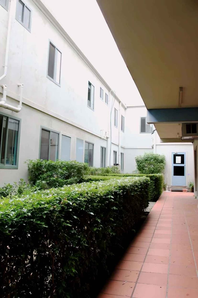 Walsh Residence, Melbourne view 6