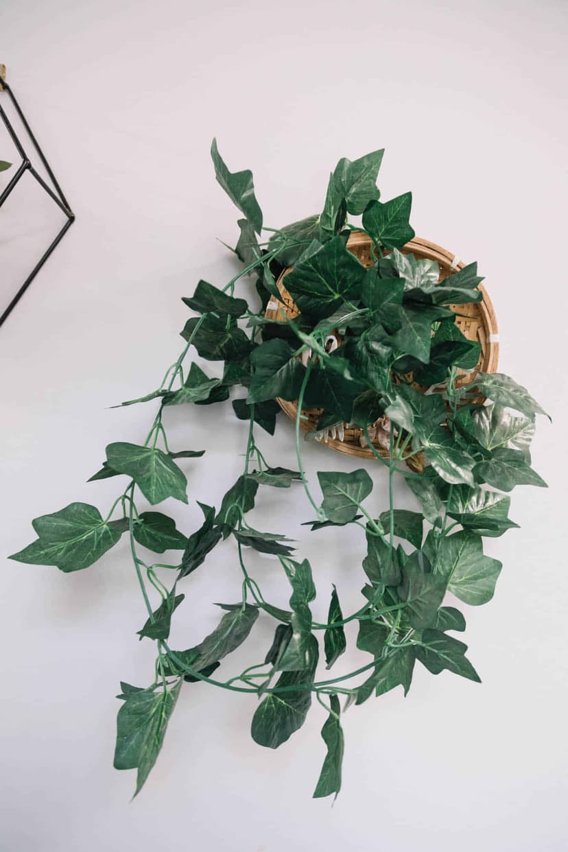 Carric Hostel, Melbourne view 5