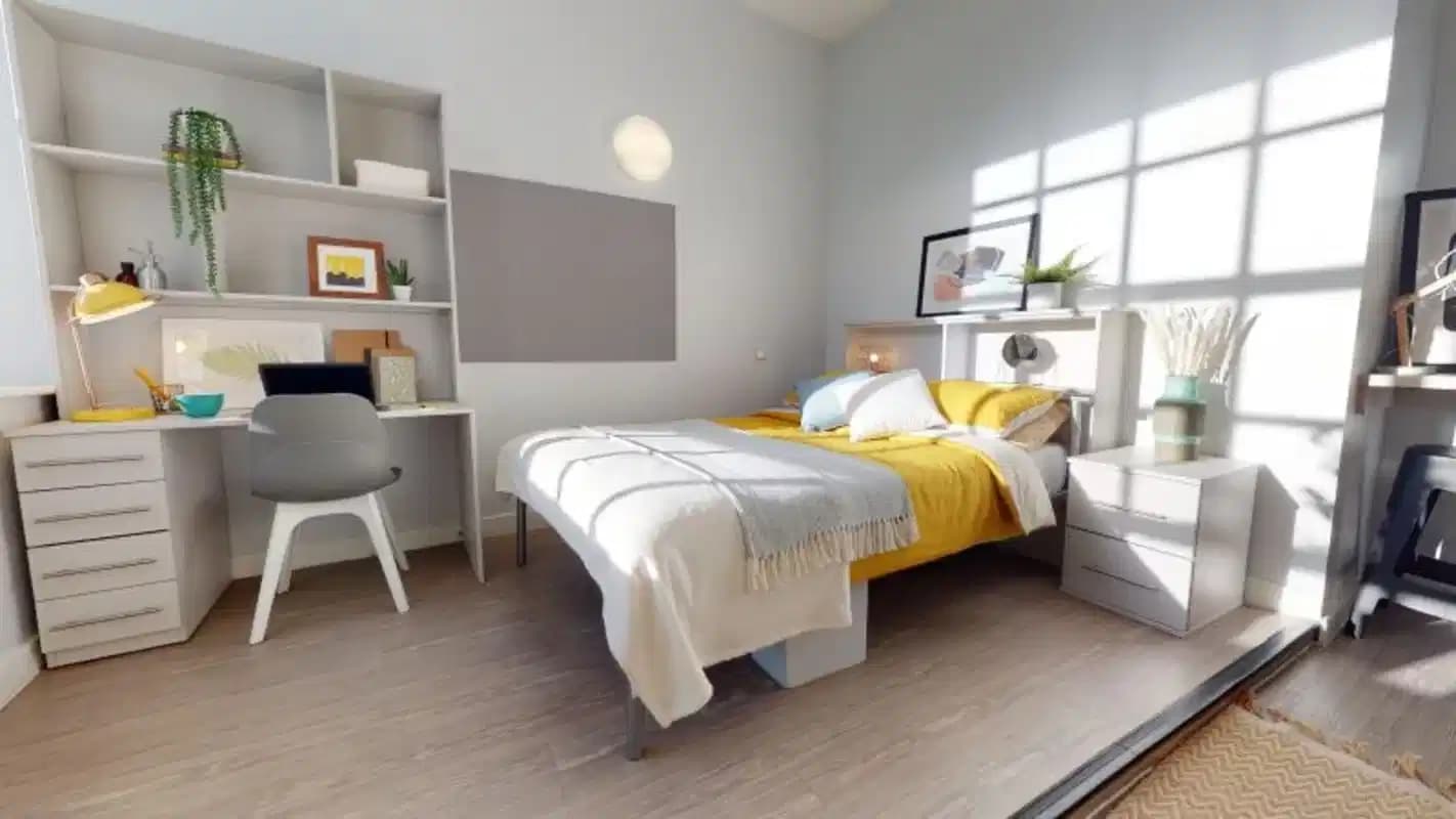 Gold Studio Plus Large