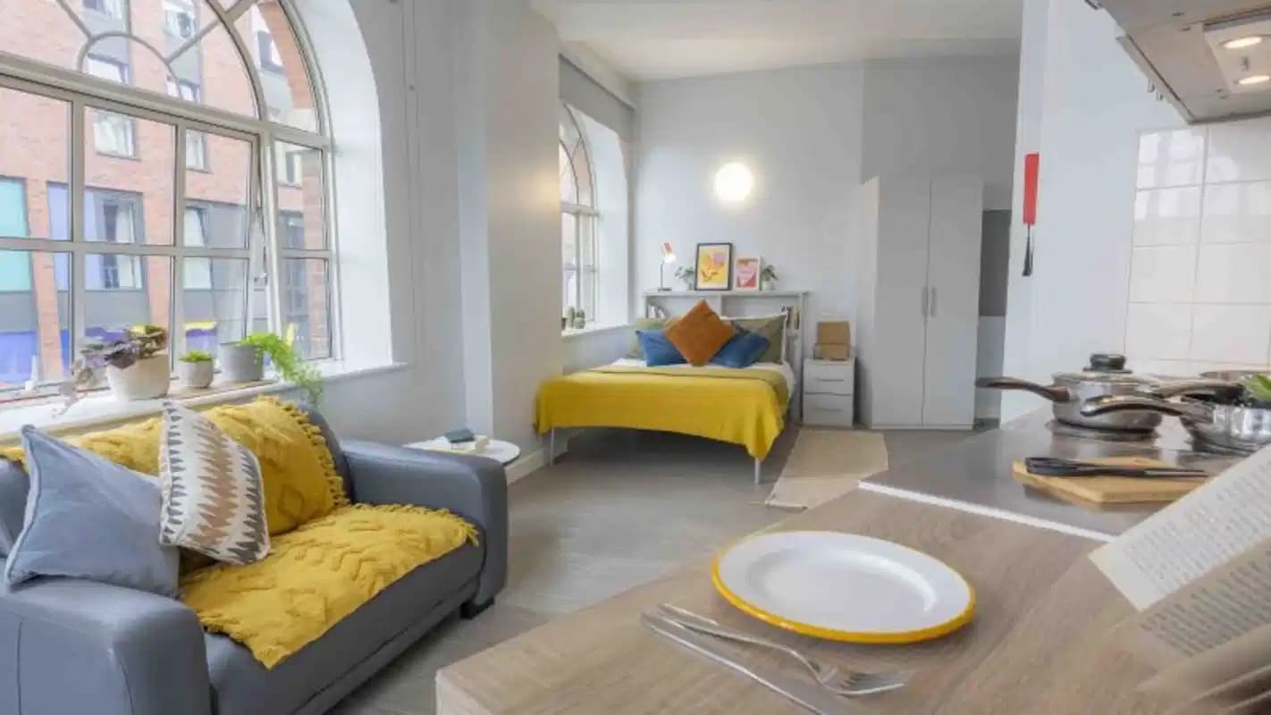 Platinum Studio Plus Lrg