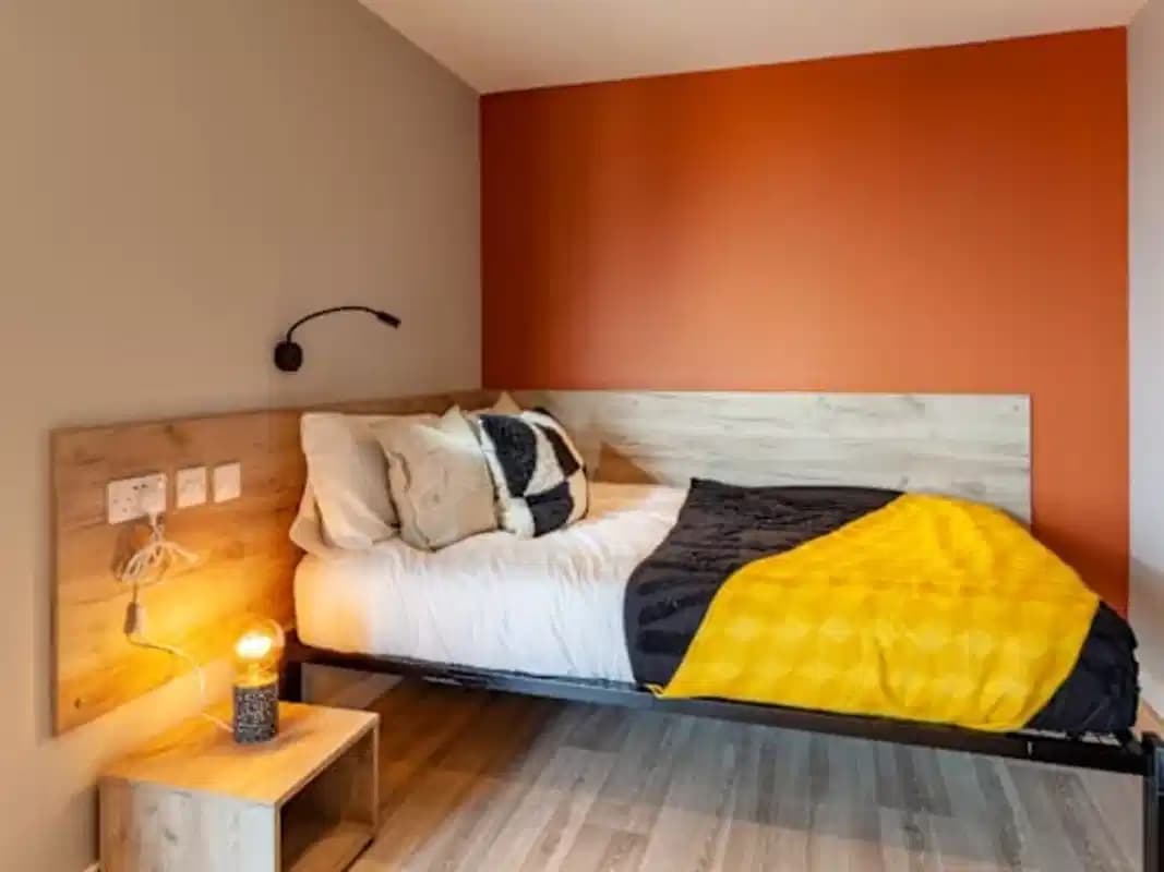 Premium Plus Studio