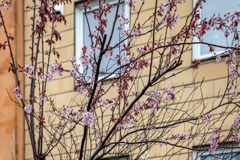 HAB 81547, Munich view 5