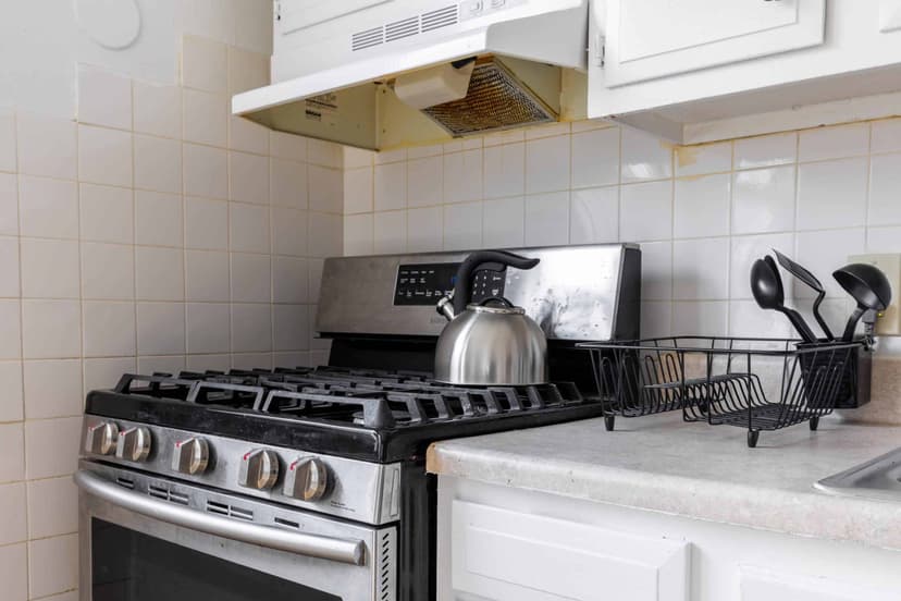 June Homes 02121, Boston image 9