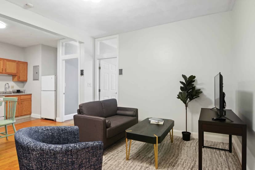 June Homes 02135, Boston view 4