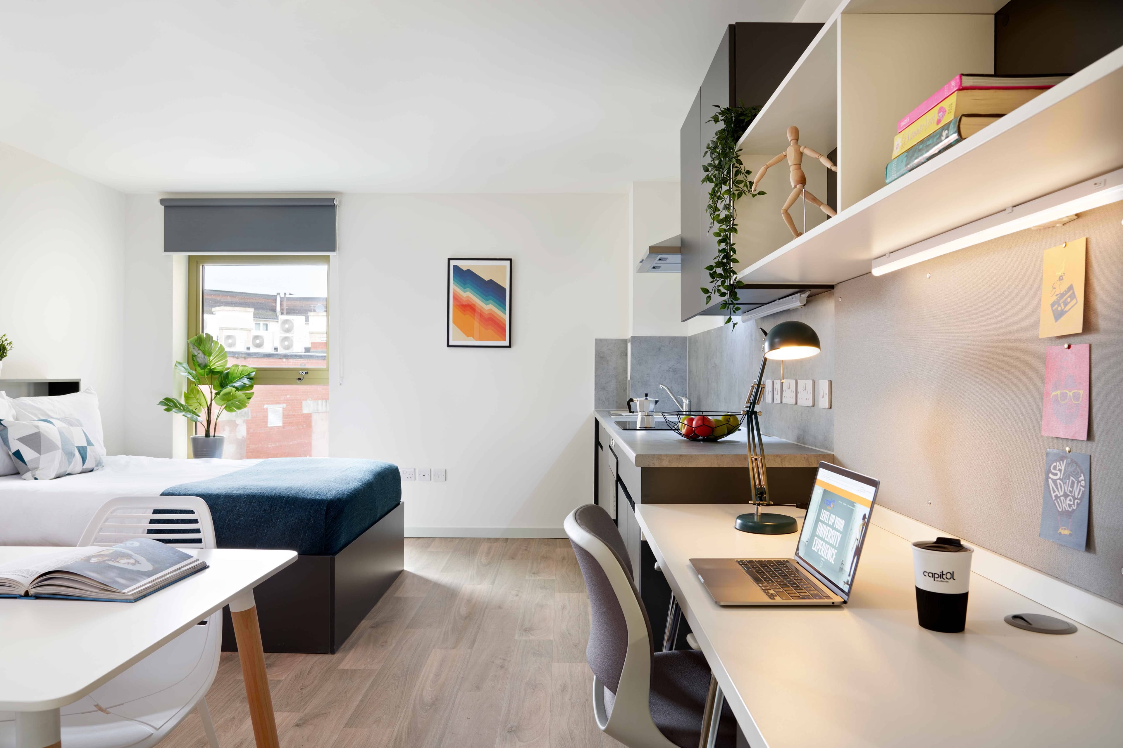 Accessible Deluxe Studio