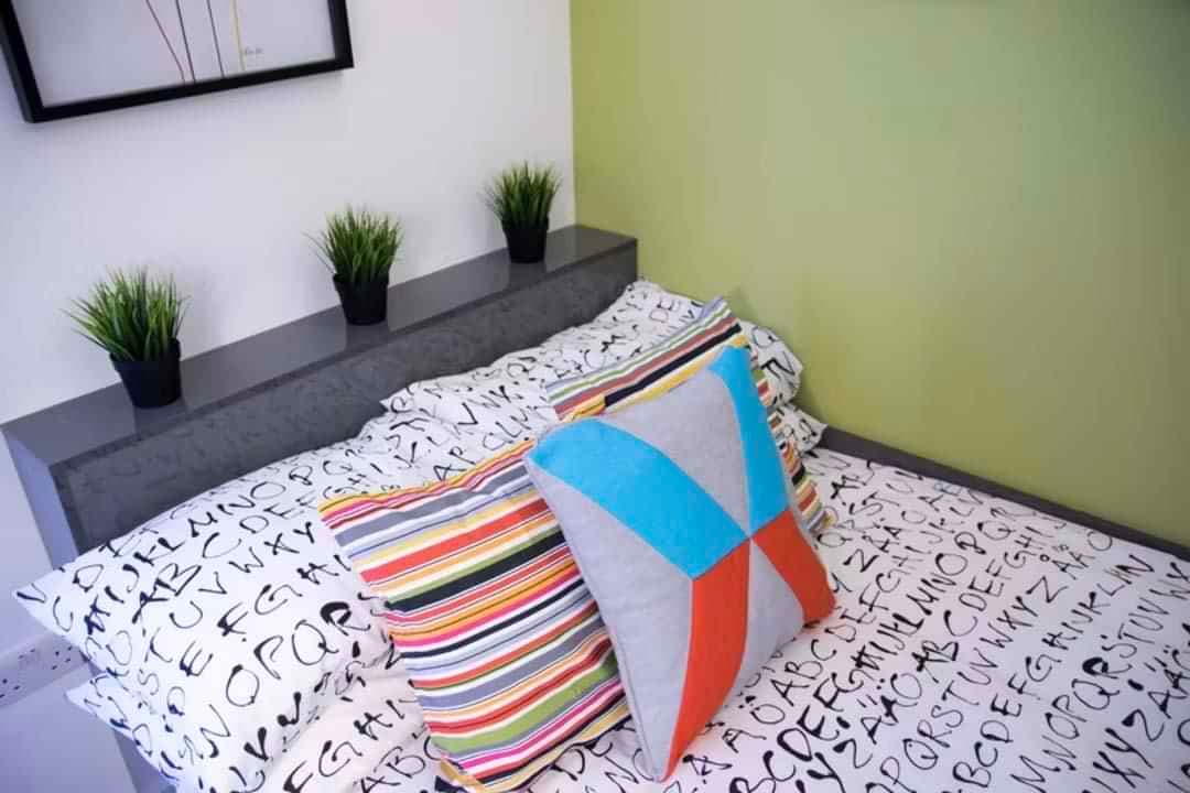 Standard Studio Accessible